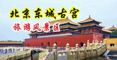 男人鸡巴插进女人身体里的视频中国北京-东城古宫旅游风景区