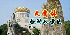 老司机成人网色情片中国浙江-绍兴大香林旅游风景区